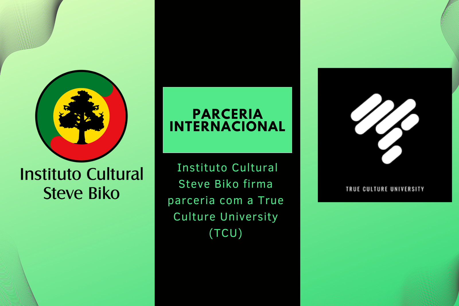 Instituto Cultural Steve Biko firma parceria com a True Culture University (TCU)